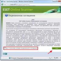 Проверяем компьютер на вирусы с помощью онлайн-сканнера ESET Online Scanner